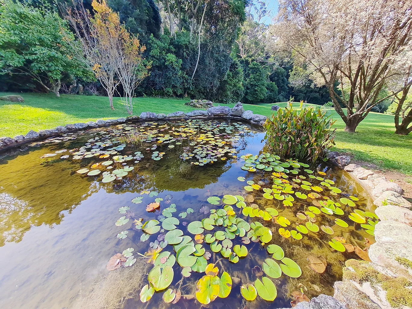 Additional image 29 of 499C Tourist Road, Bellawongarah NSW 2535