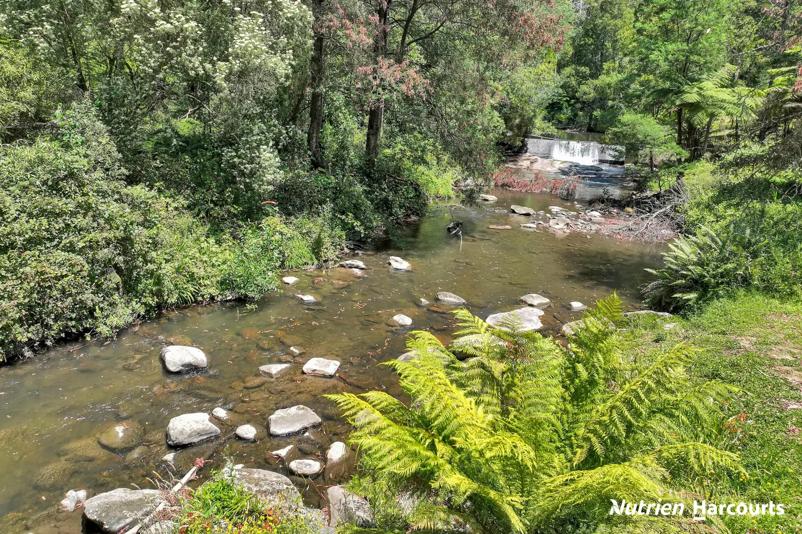 Additional image 37 of 1704 Tarra Valley Road, Tarra Valley VIC 3971