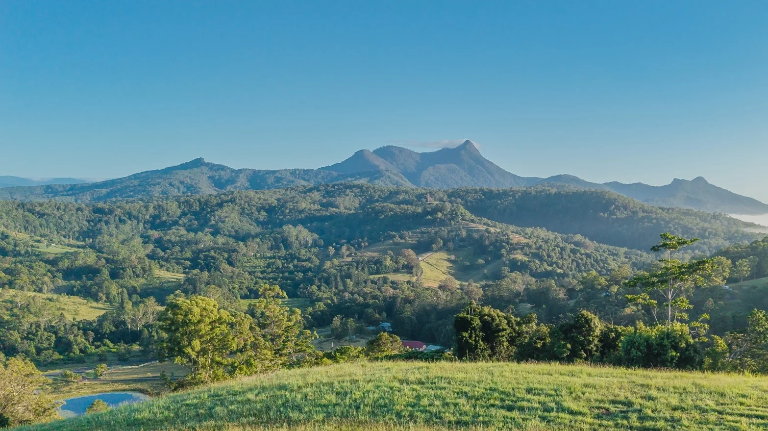 Additional image 10 of 2981 Kyogle Road, Kunghur NSW 2484