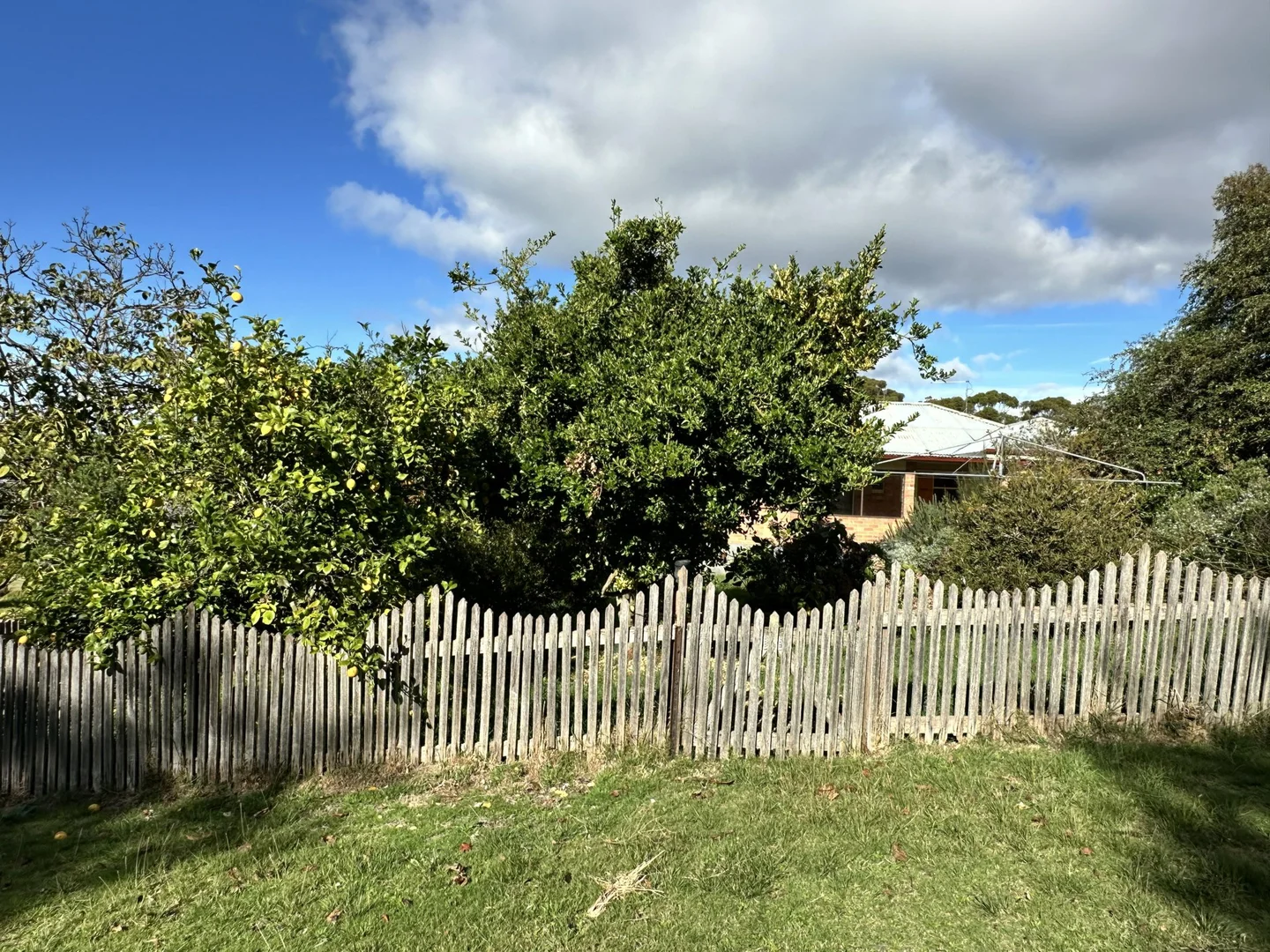 Additional image 21 of 25606 Tasman Highway, St Helens TAS 7216