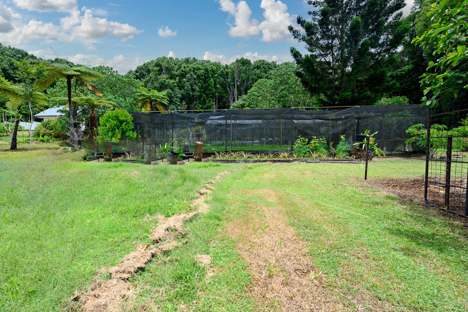 Additional image 27 of 86 Parmenters Road, Wilsons Creek NSW 2482