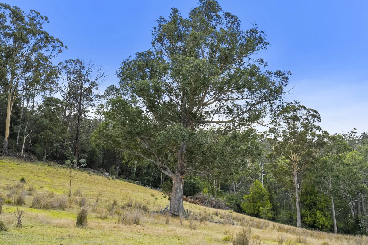 Additional image 22 of 1 & 2 Bresnehans Road, Little Swanport TAS 7190