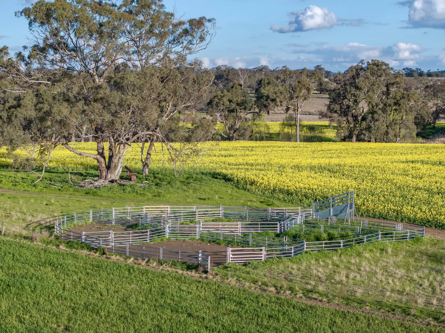Additional image 20 of Mount Bodangora 5008 Goolma Road, Wellington NSW 2820