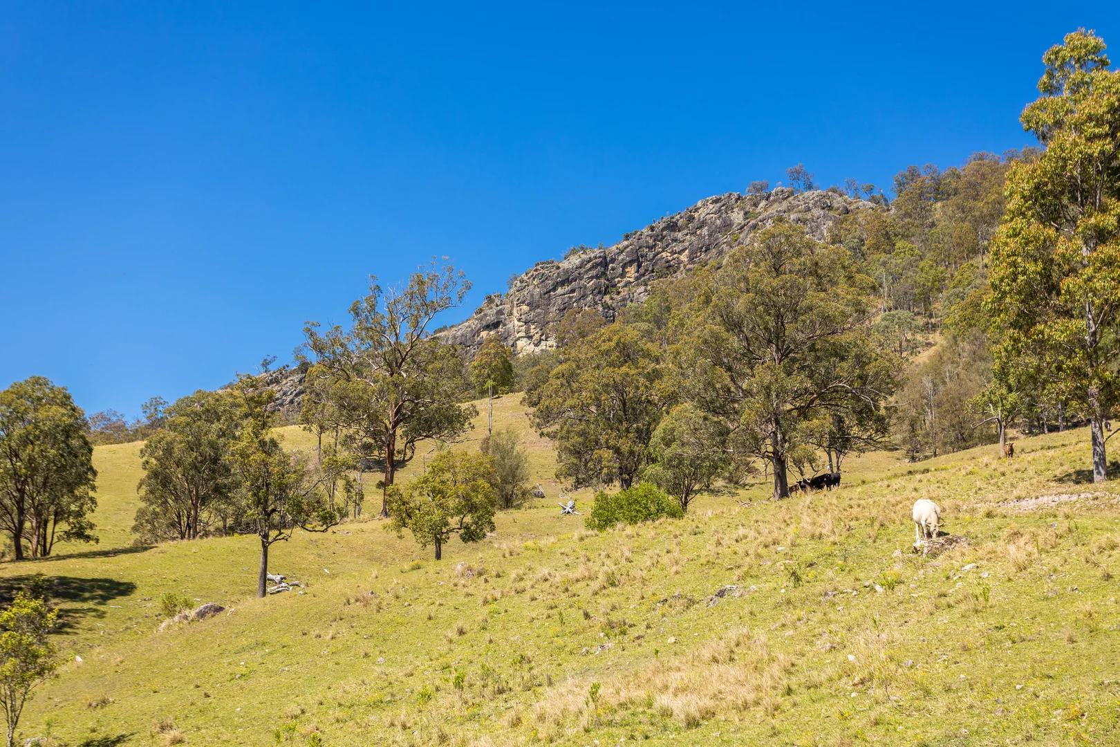 Additional image 7 of 233 Thunderbolts Way, Gloucester NSW 2422