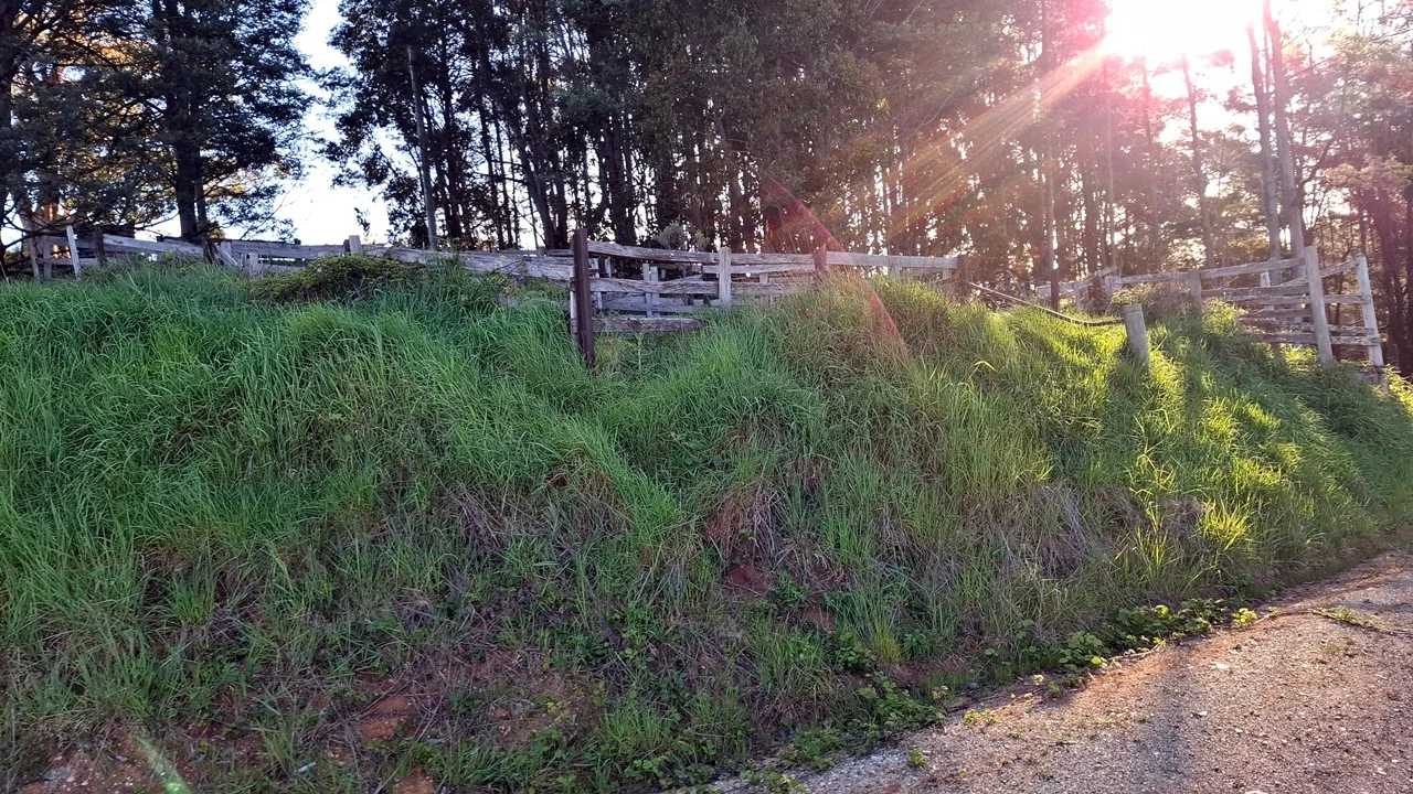 Additional image 27 of 108 Weeks Road, Barrington TAS 7306