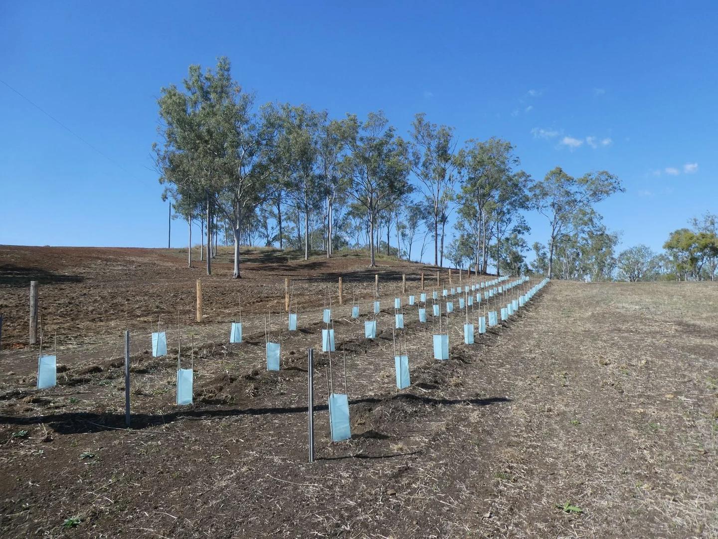 Additional image 9 of Lot 23 Walla Road, Morganville QLD 4671