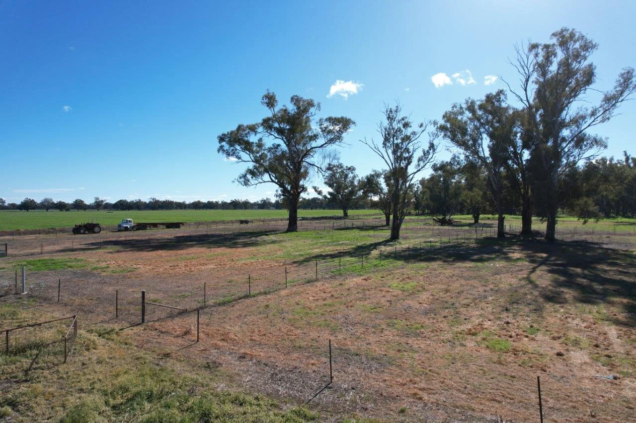 Additional image 40 of 8065 Lachlan Valley Way, Forbes NSW 2871