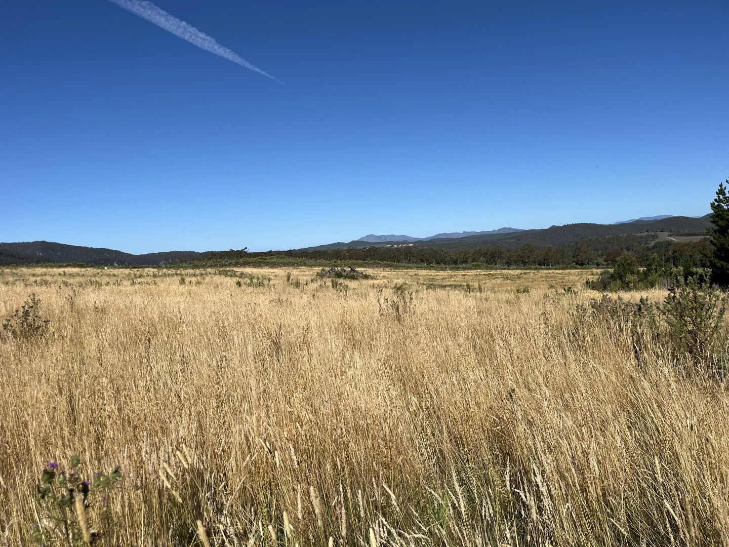 Additional image 7 of 1390 Loongana Road, Loongana TAS 7315