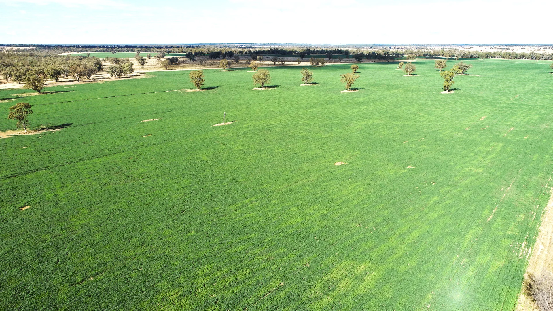 Additional image 16 of 'Glencoe' 28547 Carnarvon Highway, Roma QLD 4455