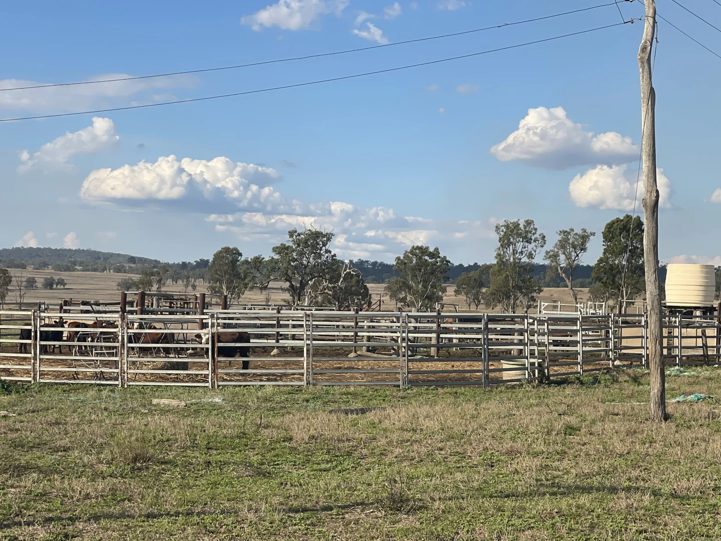 Additional image 13 of 95 Mount Perry Road, Tellebang QLD 4630