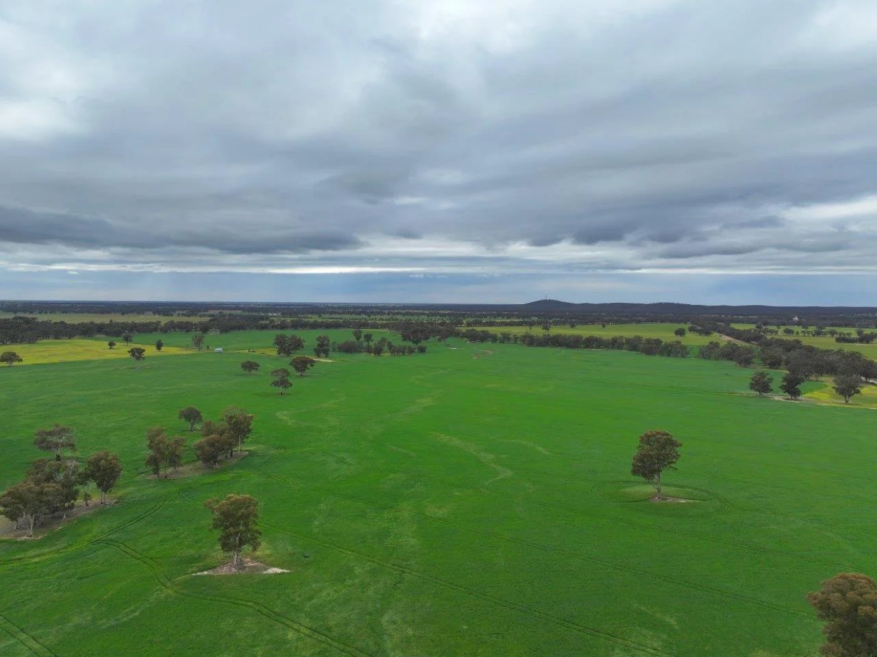 Additional image 9 of -- Brenanah-Kurting Road, Kurting VIC 3517