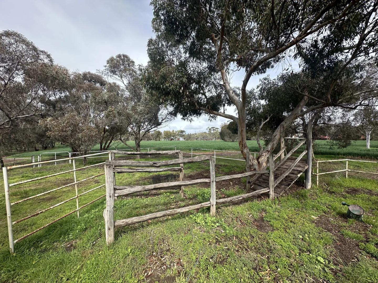 Additional image 23 of 3 Redmile Road, York WA 6302