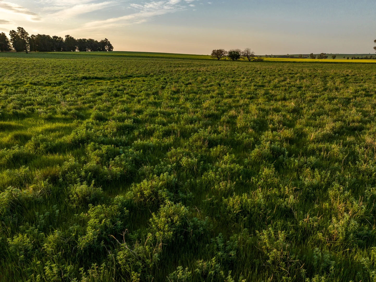 Additional image 24 of 2214 Coolamon Road, Coolamon NSW 2701