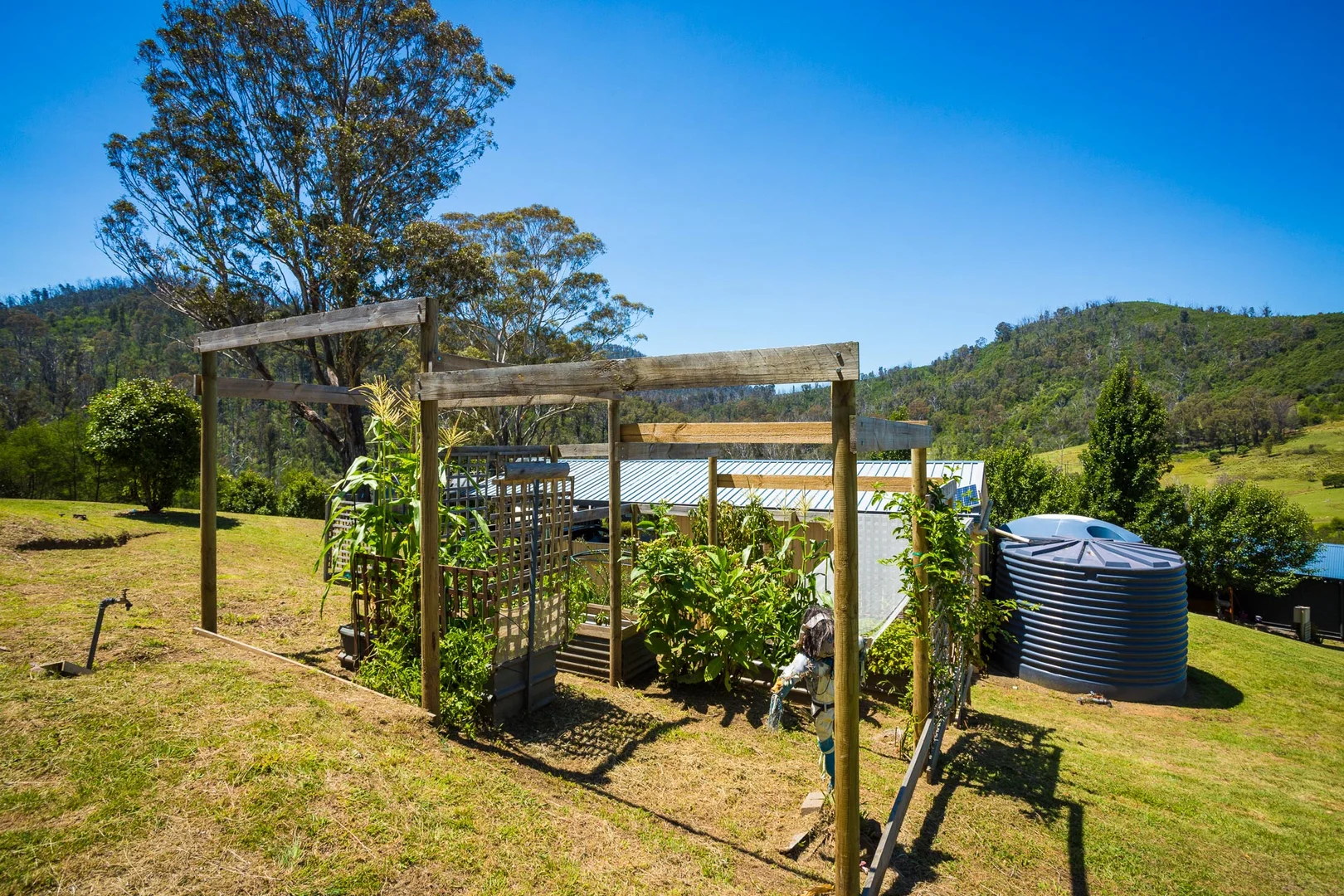 Additional image 37 of 2903 Mount Darragh Road, Wyndham NSW 2550