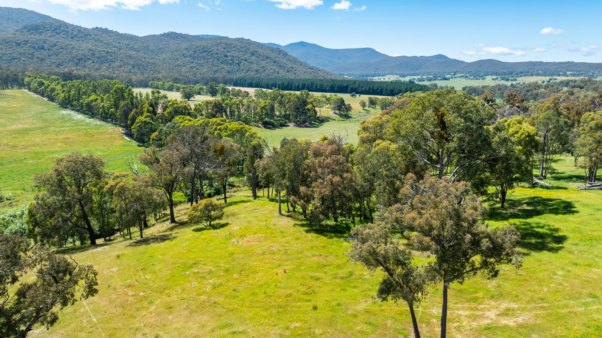 Additional image 9 of 417 Black Flats Road, Mudgegonga VIC 3737