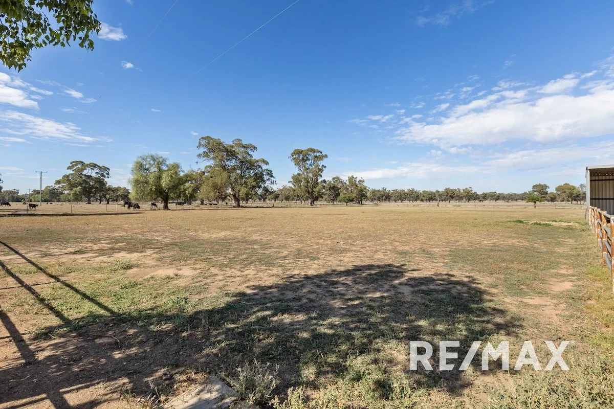 Additional image 26 of 2463 Sturt Highway, Collingullie NSW 2650