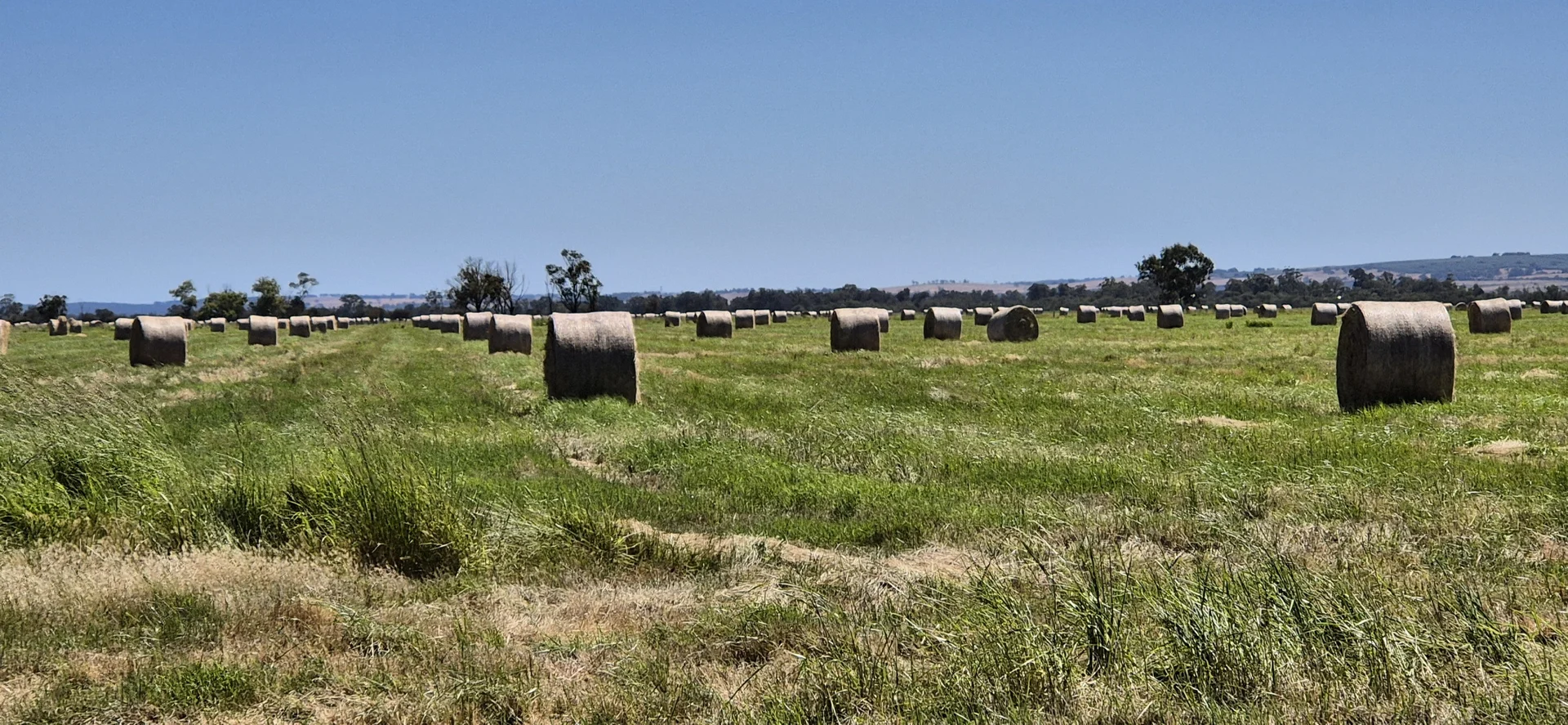 Additional image 22 of 4 Pin Pin Road, Beermullah WA 6503