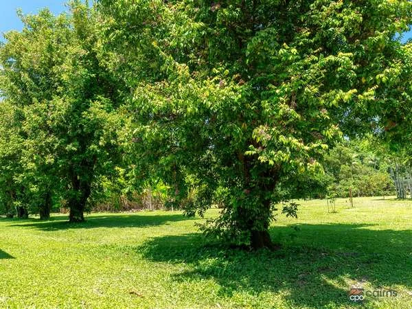 Additional image 35 of 176 Healy Road, Mirriwinni QLD 4871