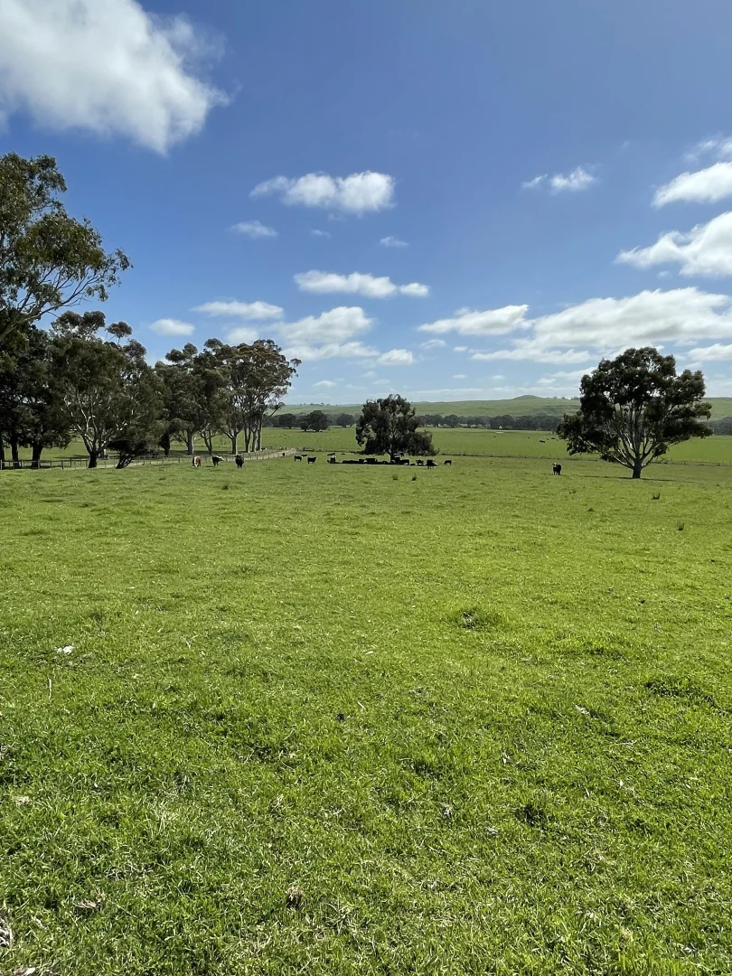 Additional image 14 of 138 McConachys Road, Henty VIC 3312
