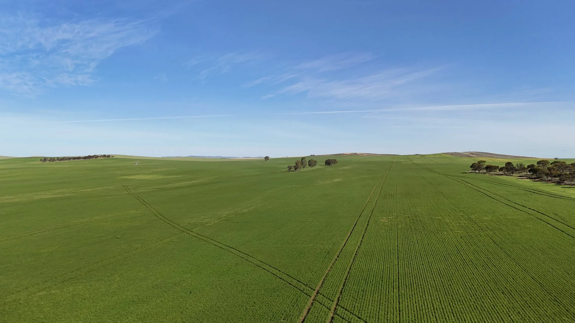 Additional image 8 of 'Pinefield' 186 Catford Rd, Appila SA 5480