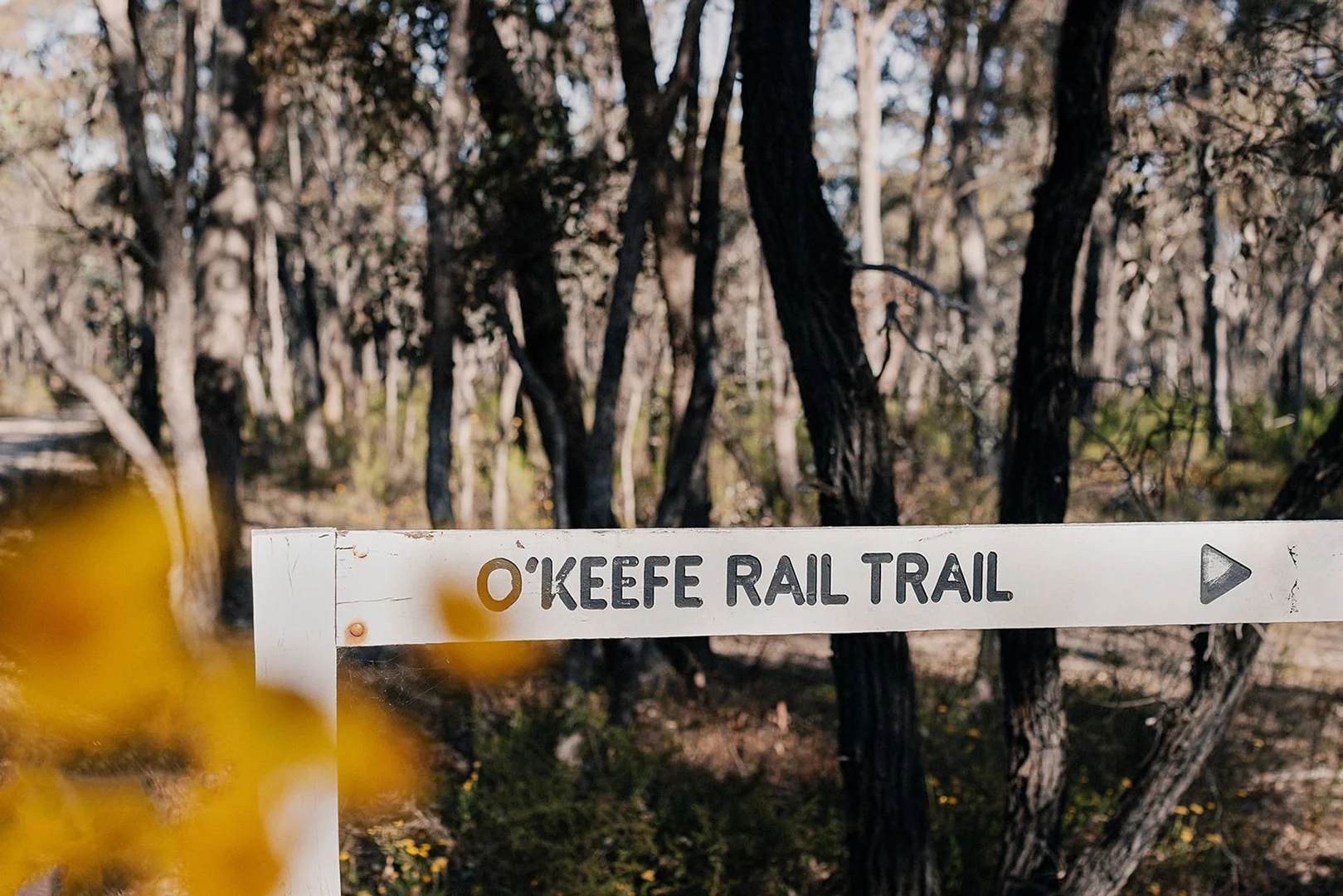 Additional image 8 of Lot 11/735 McIvor Highway, Junortoun VIC 3551