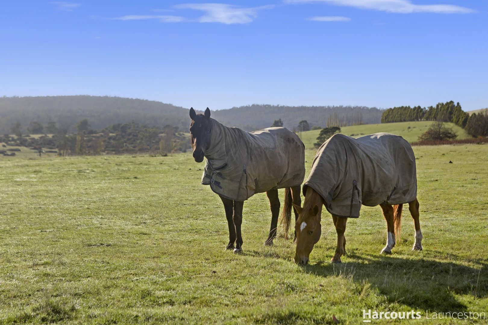Additional image 5 of Stage 4 Cedar Grove Estate, St Leonards TAS 7250