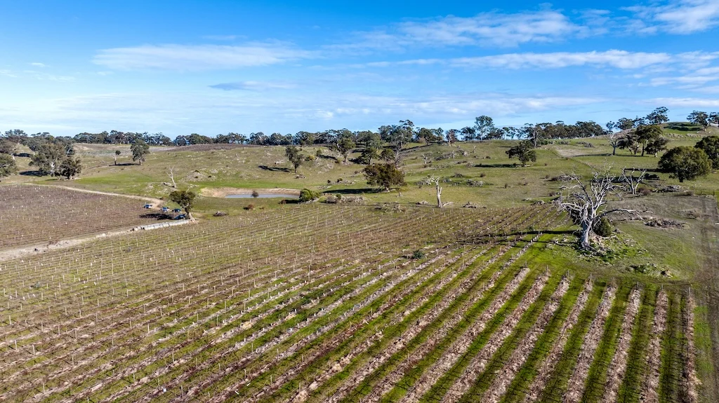 Additional image 33 of Peggy Hill Road, Eden Valley SA 5235