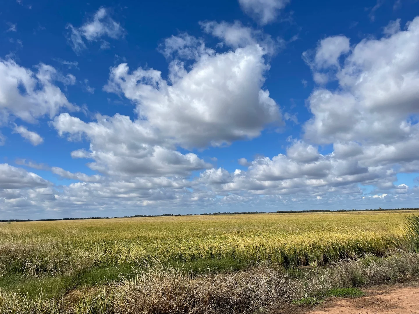 Additional image 14 of ( Davit Farm ) Cashmere Road, Widgelli NSW 2680