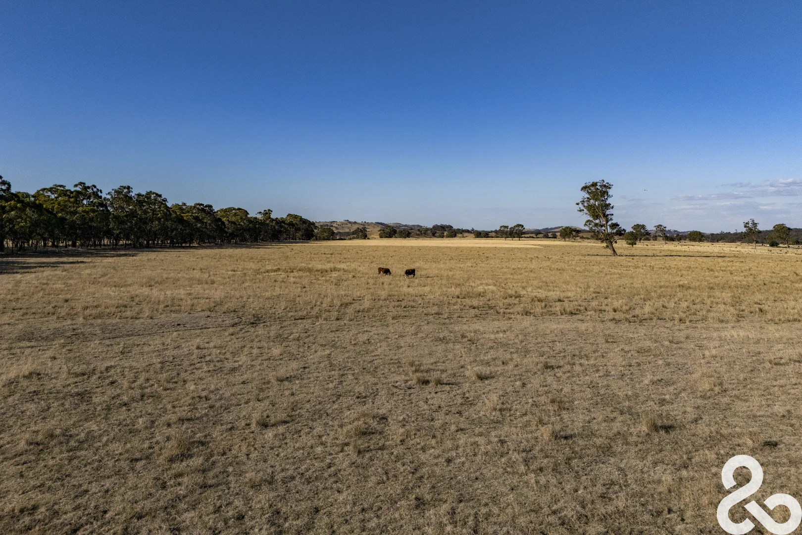 Additional image 4 of 1280D Broadford-Glenaroua Road, Glenaroua VIC 3764