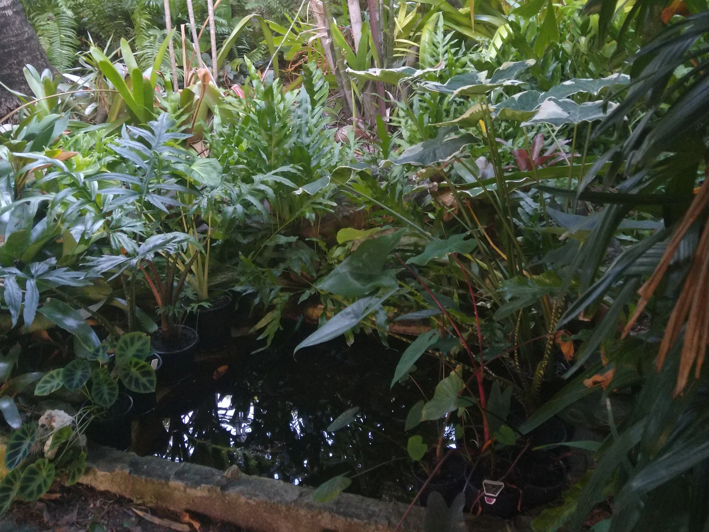 Additional image 27 of 697 Bootooloo Road, Bowen QLD 4805