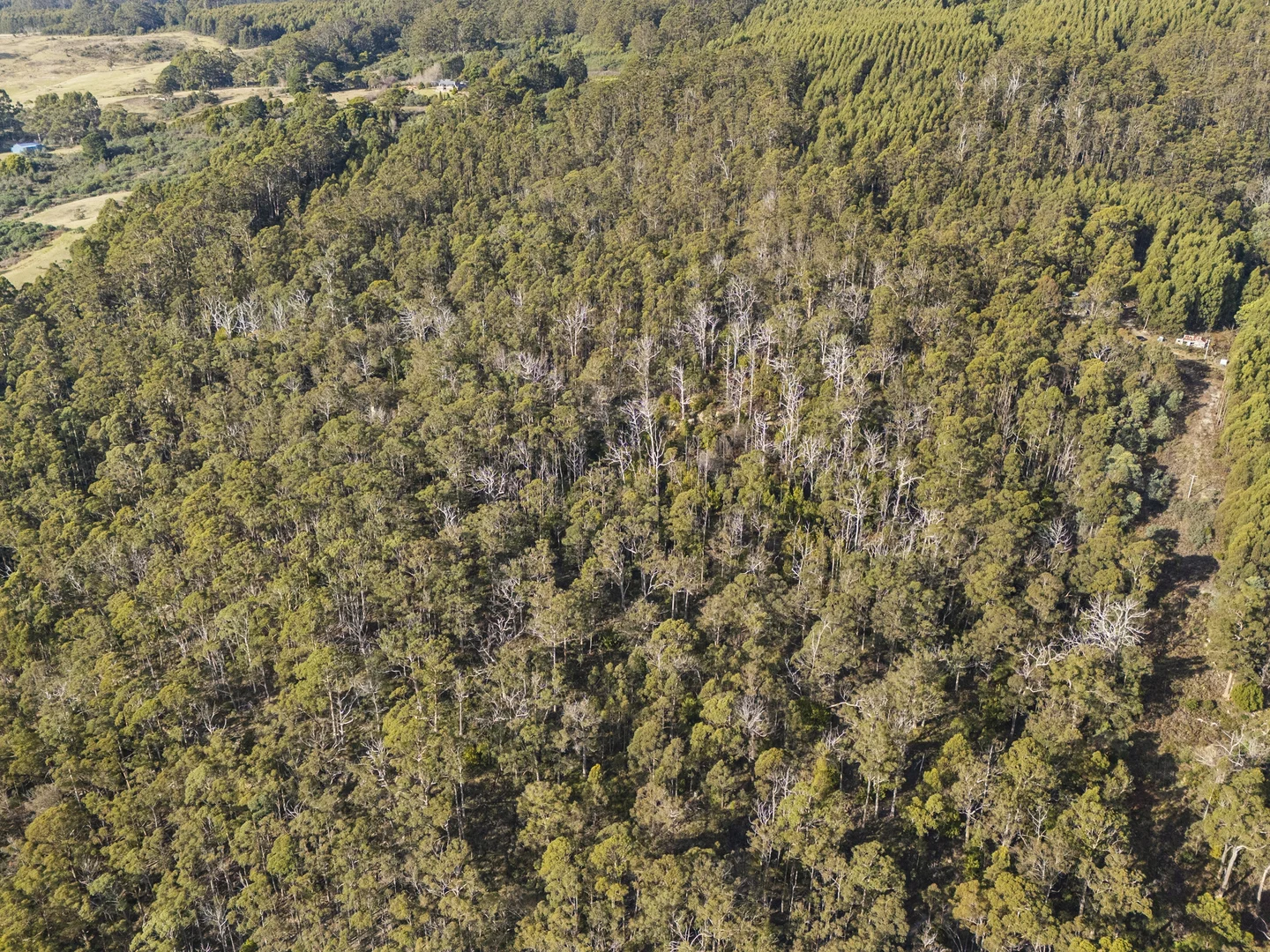 Additional image 25 of Lot 4 Tip Road, Nubeena TAS 7184