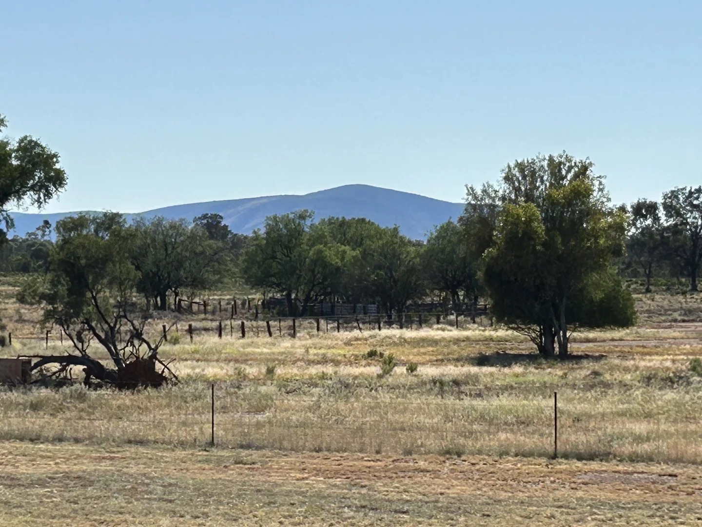 Additional image 8 of 1 Ben Lomond Road, Gunderbooka NSW 2840