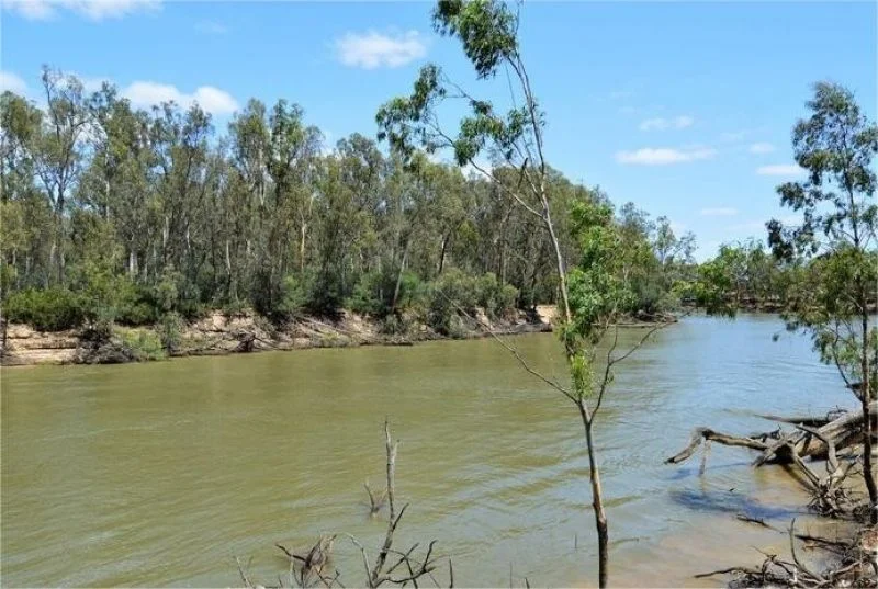 Additional image 6 of 78 Louies Hut Road, Moama NSW 2731