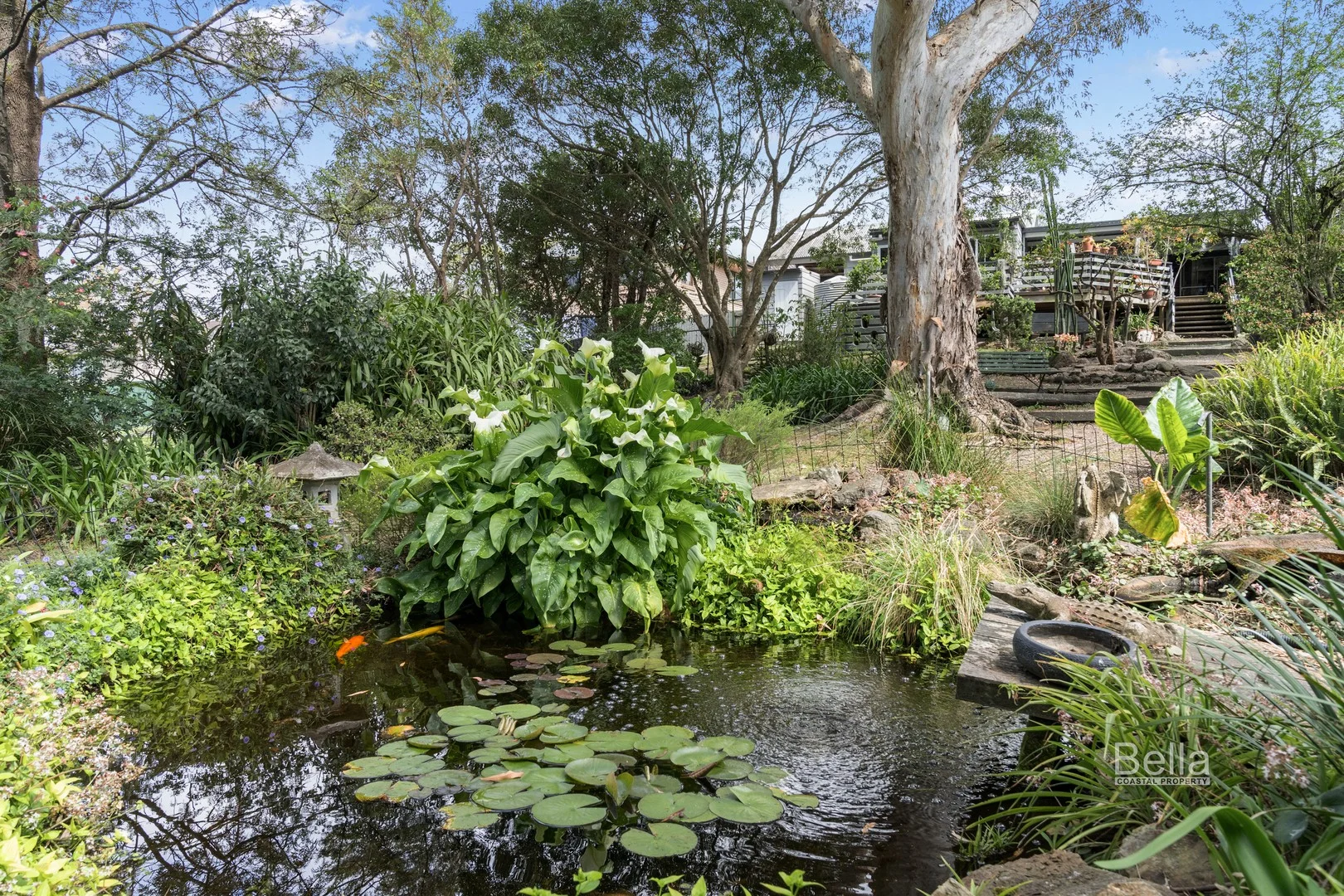 60 Gordon Street, Milton NSW 2538