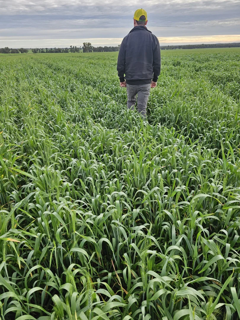 Additional image 42 of 492 Eremeran Road, Condobolin NSW 2877