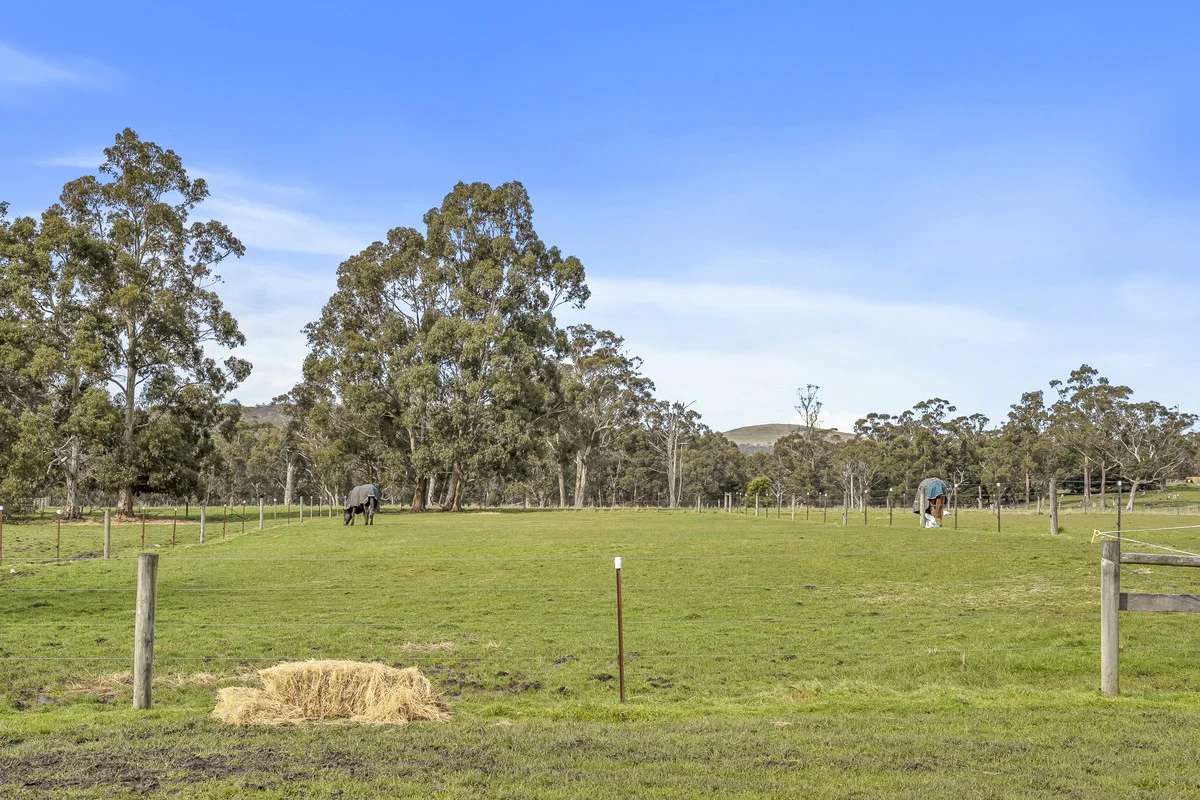 Additional image 6 of 730 Sandfly Road, Sandfly TAS 7150