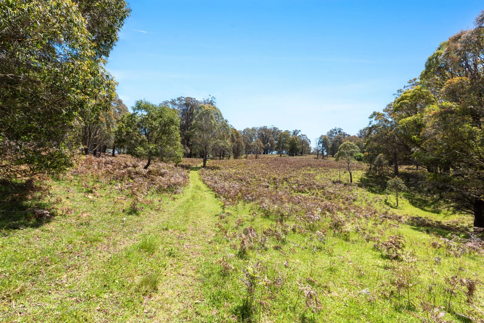 Additional image 16 of Thornleigh Coolangubra Road, Cathcart NSW 2632