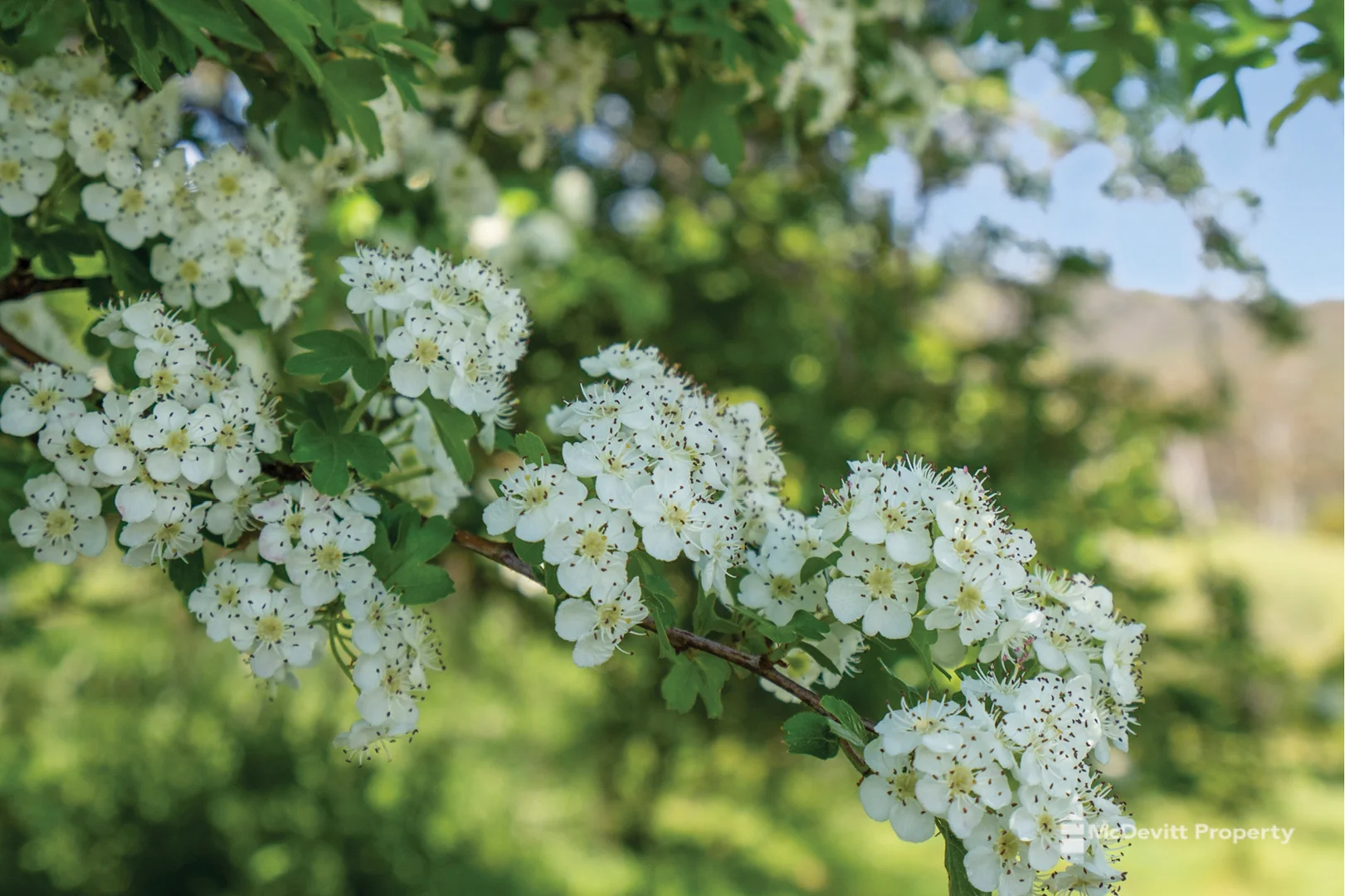 Additional image 10 of Lots 22-26/918 Nugent Rd, Wattle Hill TAS 7172