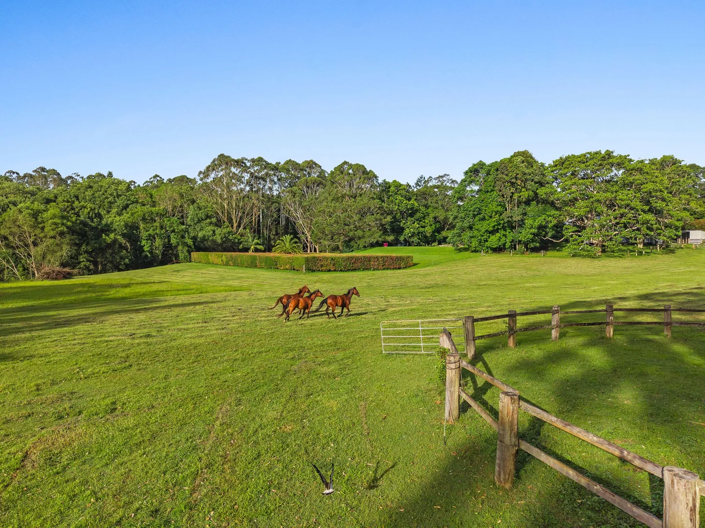 Additional image 13 of 711 Federal Drive, Federal NSW 2480