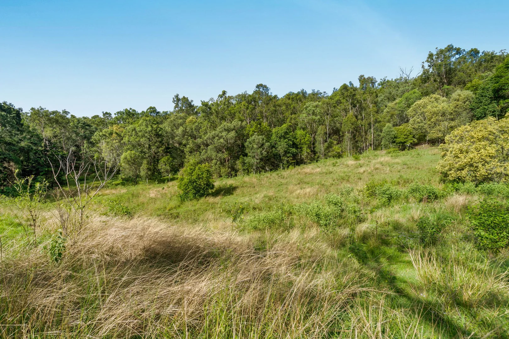 Additional image 21 of 169 Dunns Road, Wolffdene QLD 4207