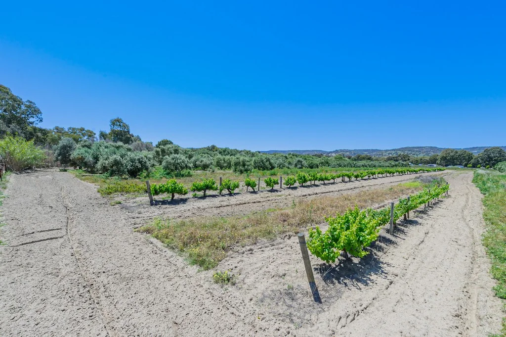 Additional image 6 of 115 Haddrill Road, Baskerville WA 6056