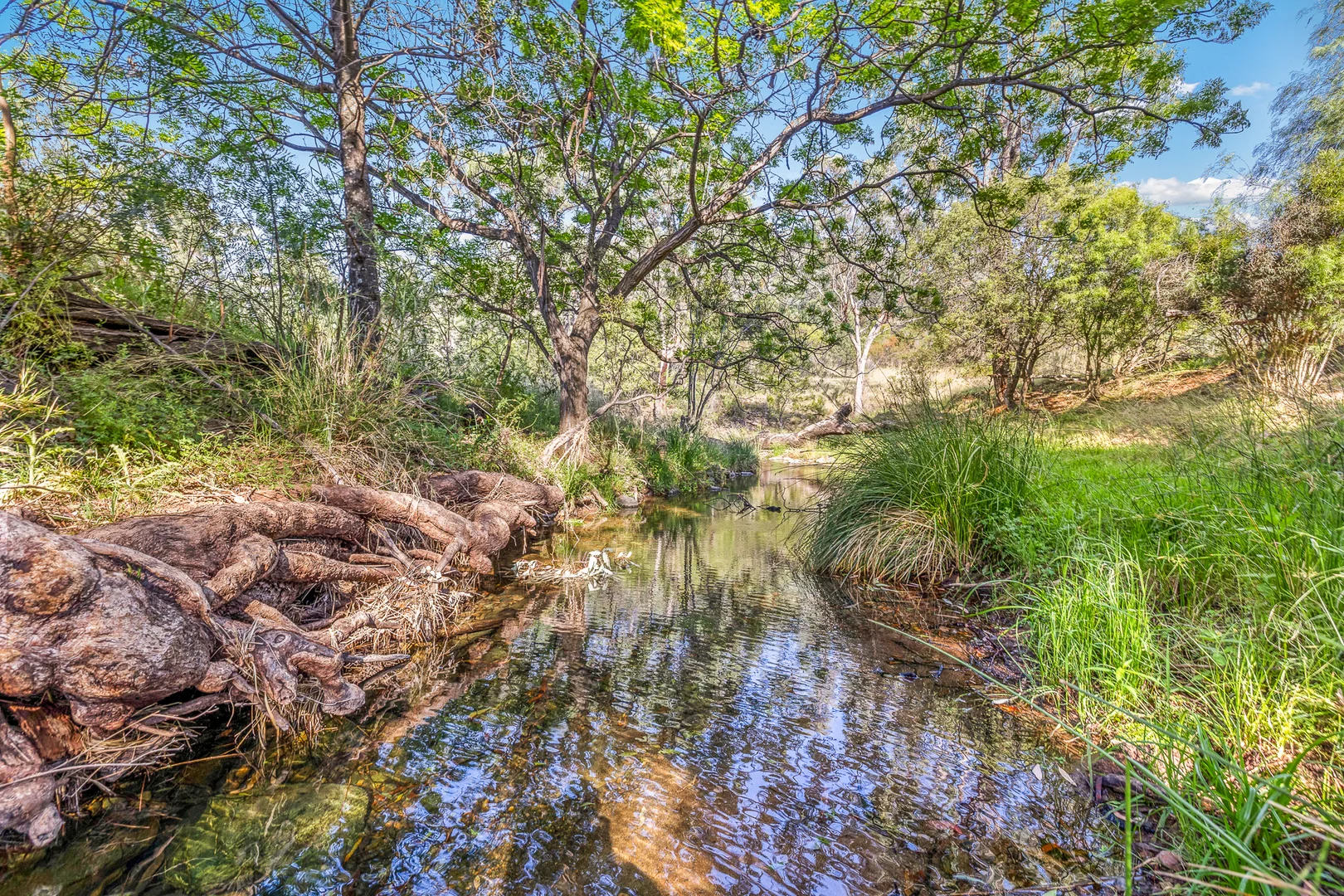 Additional image 25 of "Upper Forest View" 562 Wisemans Arm Road, Attunga NSW 2345