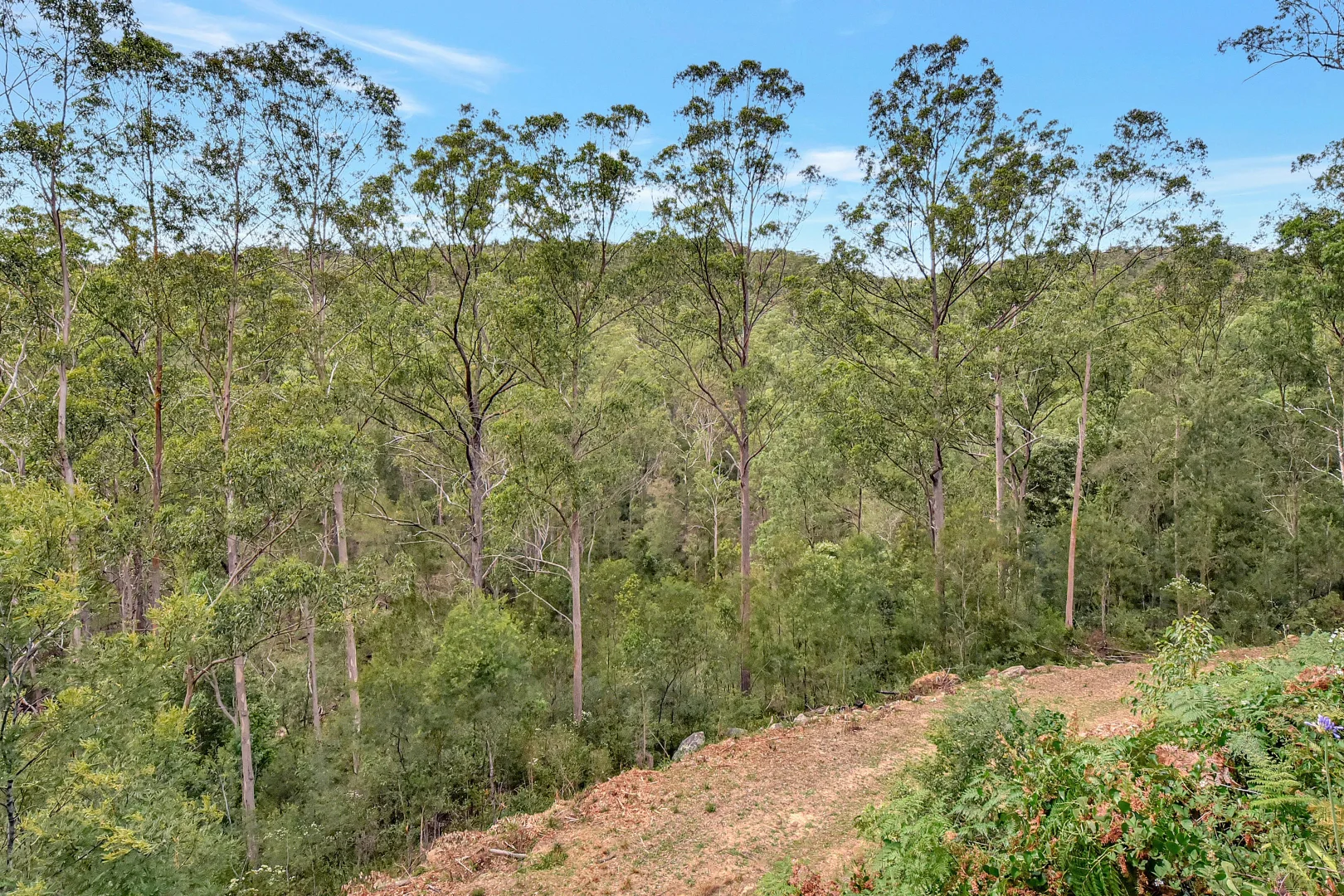 Additional image 19 of Laguna NSW 2325