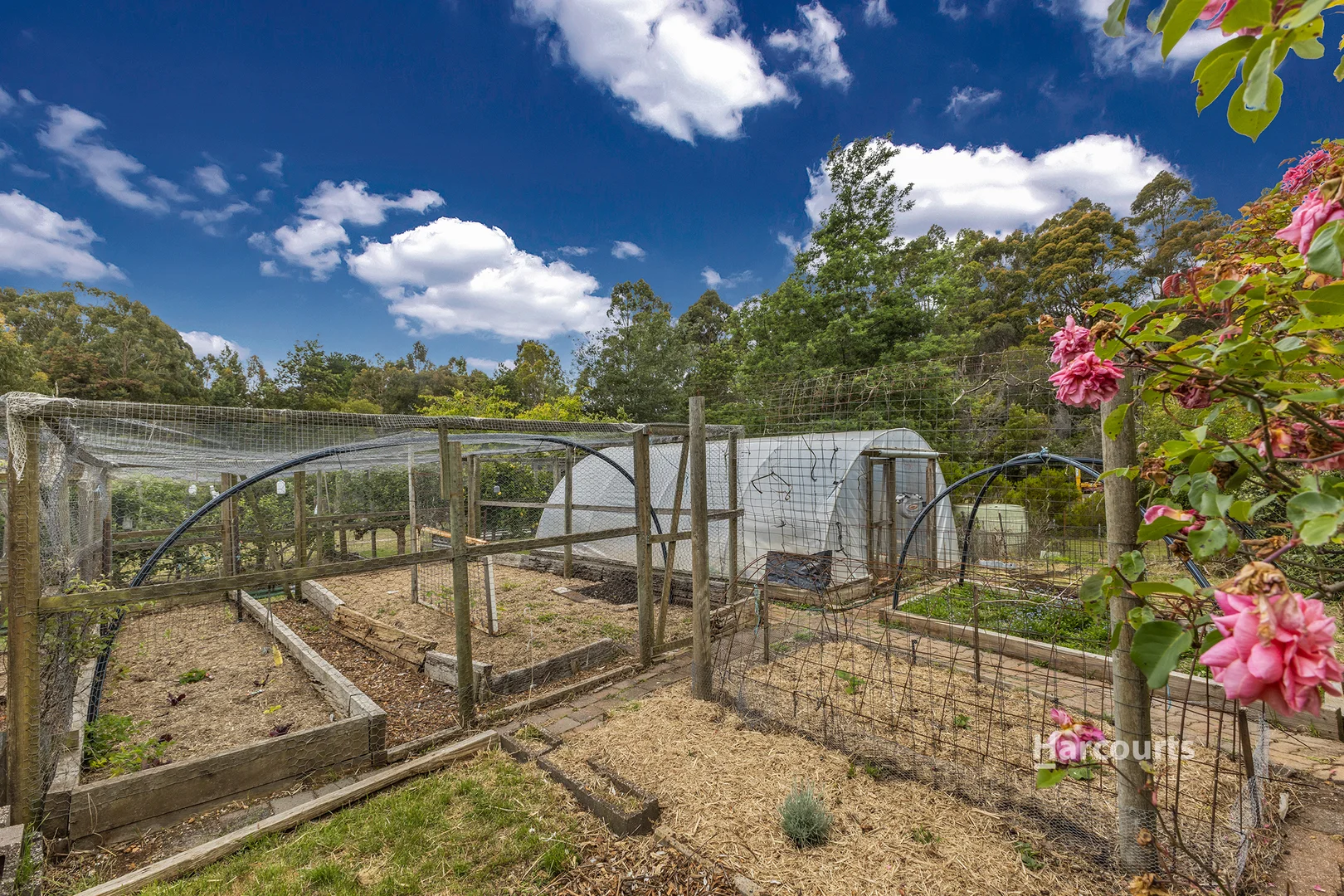 Additional image 33 of 22 Peppermint Drive, Penguin TAS 7316