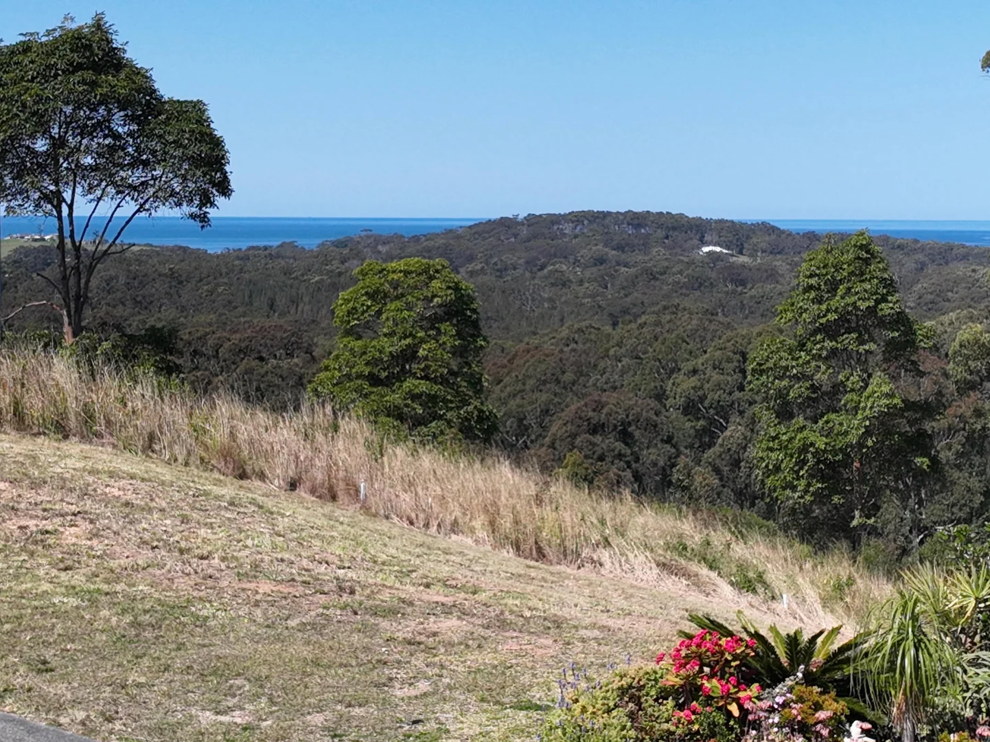 Additional image 10 of 23 Eastern Valley Way, Tallwoods Village NSW 2430