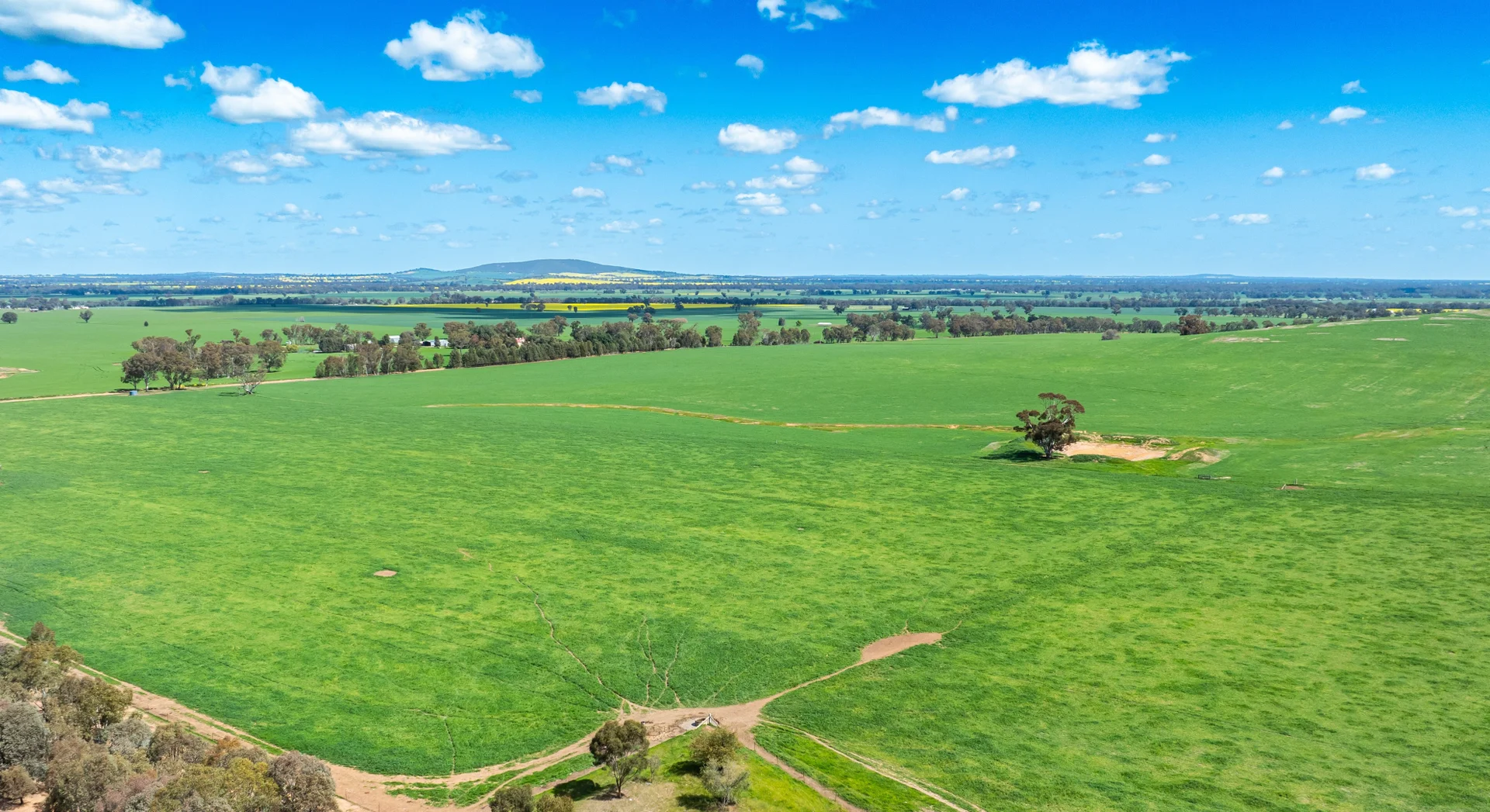 Additional image 5 of 413 Reynella Road, Walbundrie NSW 2642