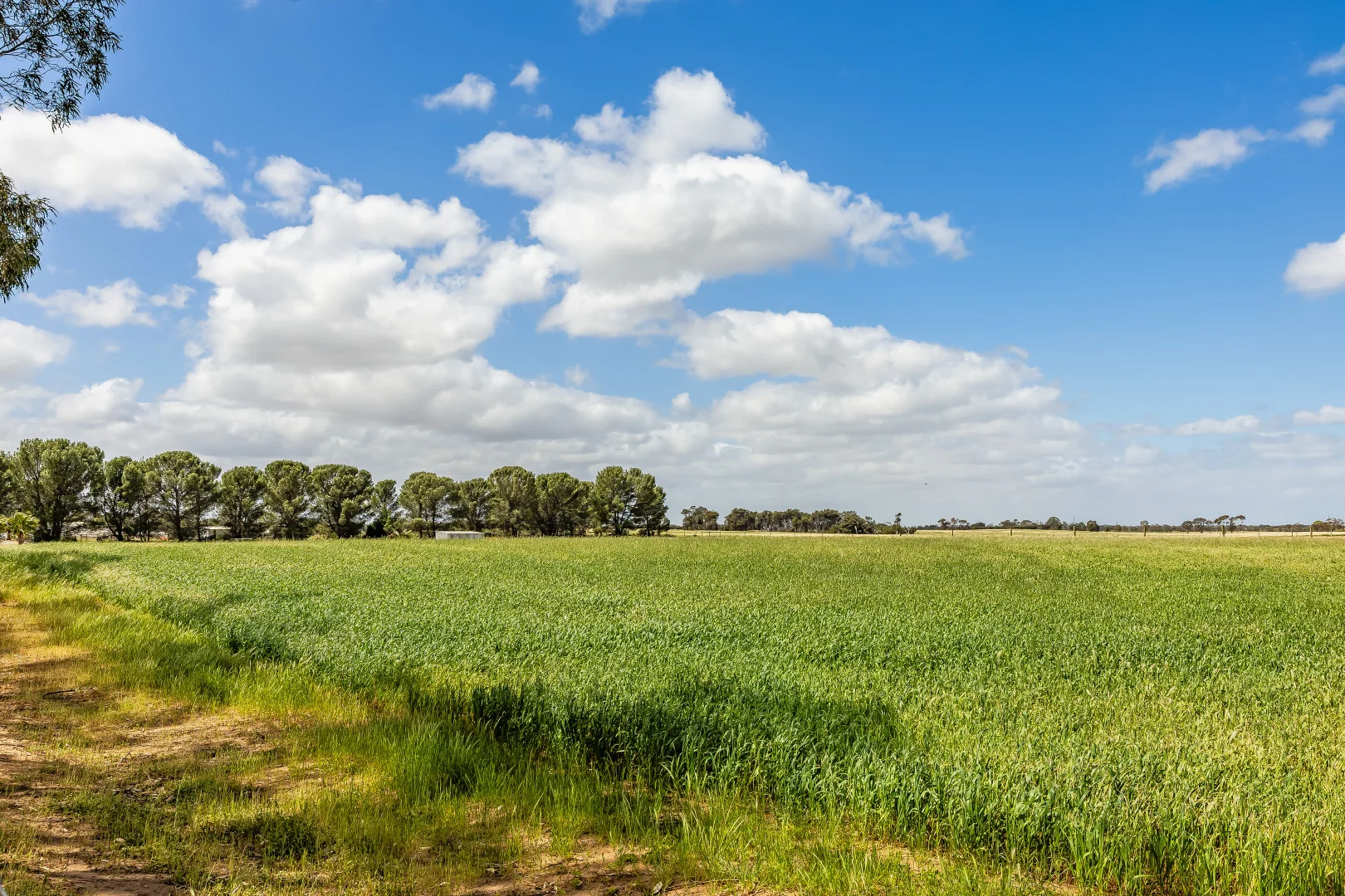 Additional image 68 of 726 Langhorne Creek Road, Belvidere SA 5255