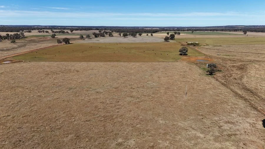 Additional image 6 of 176 Uphills lane Purlewaugh, Coonabarabran NSW 2357