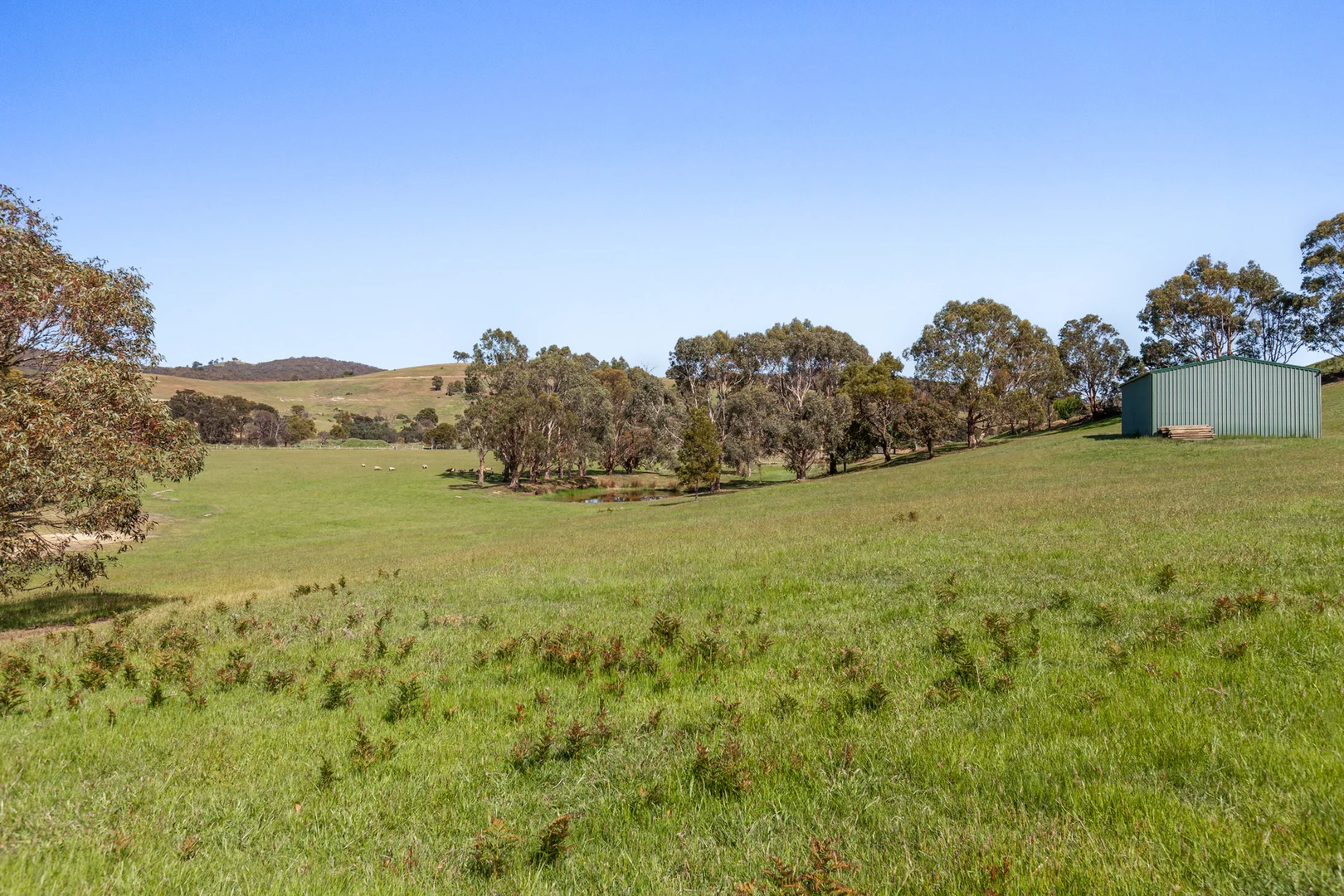 Additional image 13 of 1180 Wallan Whittlesea Road, Upper Plenty VIC 3756