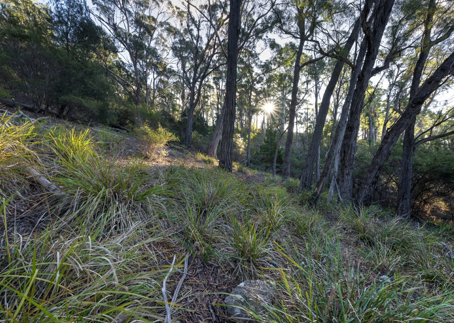 Additional image 11 of 367 Binalong Bay Road, St Helens TAS 7216